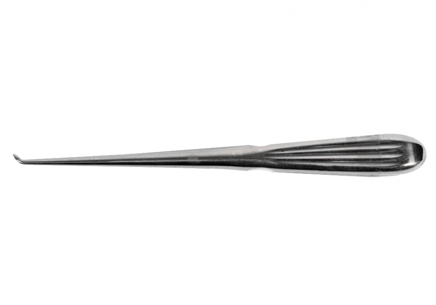 Cushing Pituitary Spoon, Silver Plated, 9 1/2" (23.5 Cm), #1